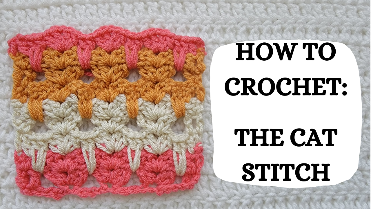 Photo Tutorial How To Crochet The Cat Stitch crochetmelovely