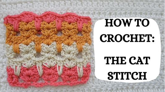 Crochet Video Tutorial - How To Crochet: The Cat Stitch!