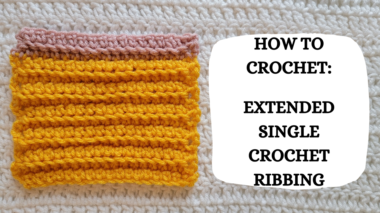 Photo Tutorial – How To Crochet: Extended Single Crochet Ribbing ...