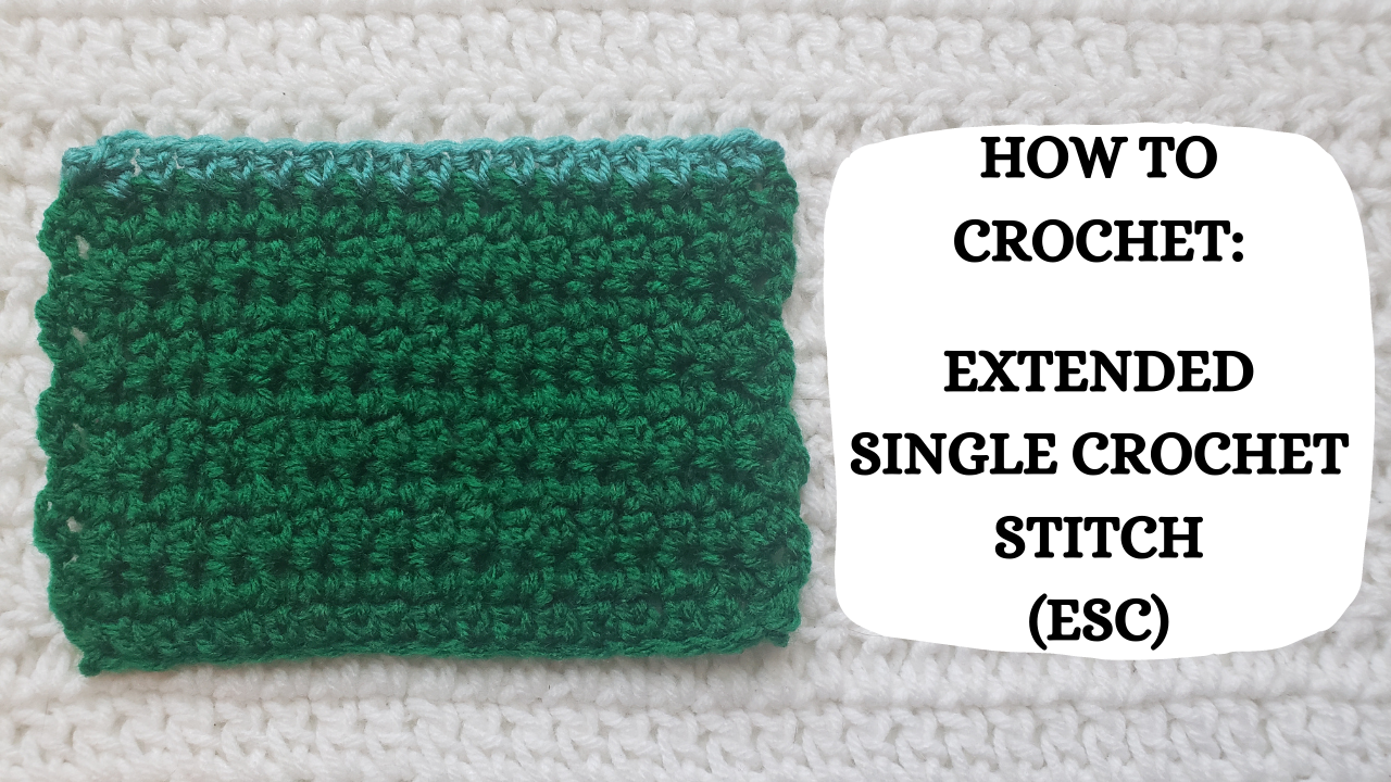 Crochet Video Tutorial - How To Crochet: The Extended Single Crochet S ...
