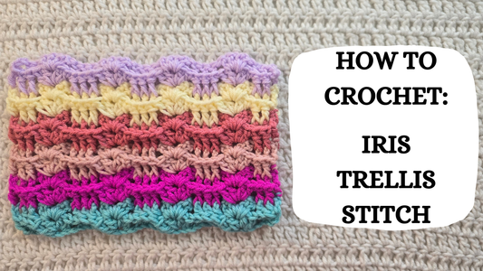 Photo Tutorial – How To Crochet: Iris Trellis Stitch!