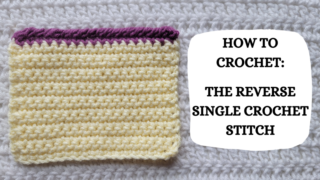 Photo Tutorial - How To Crochet: Reverse Single Crochet Stitch!